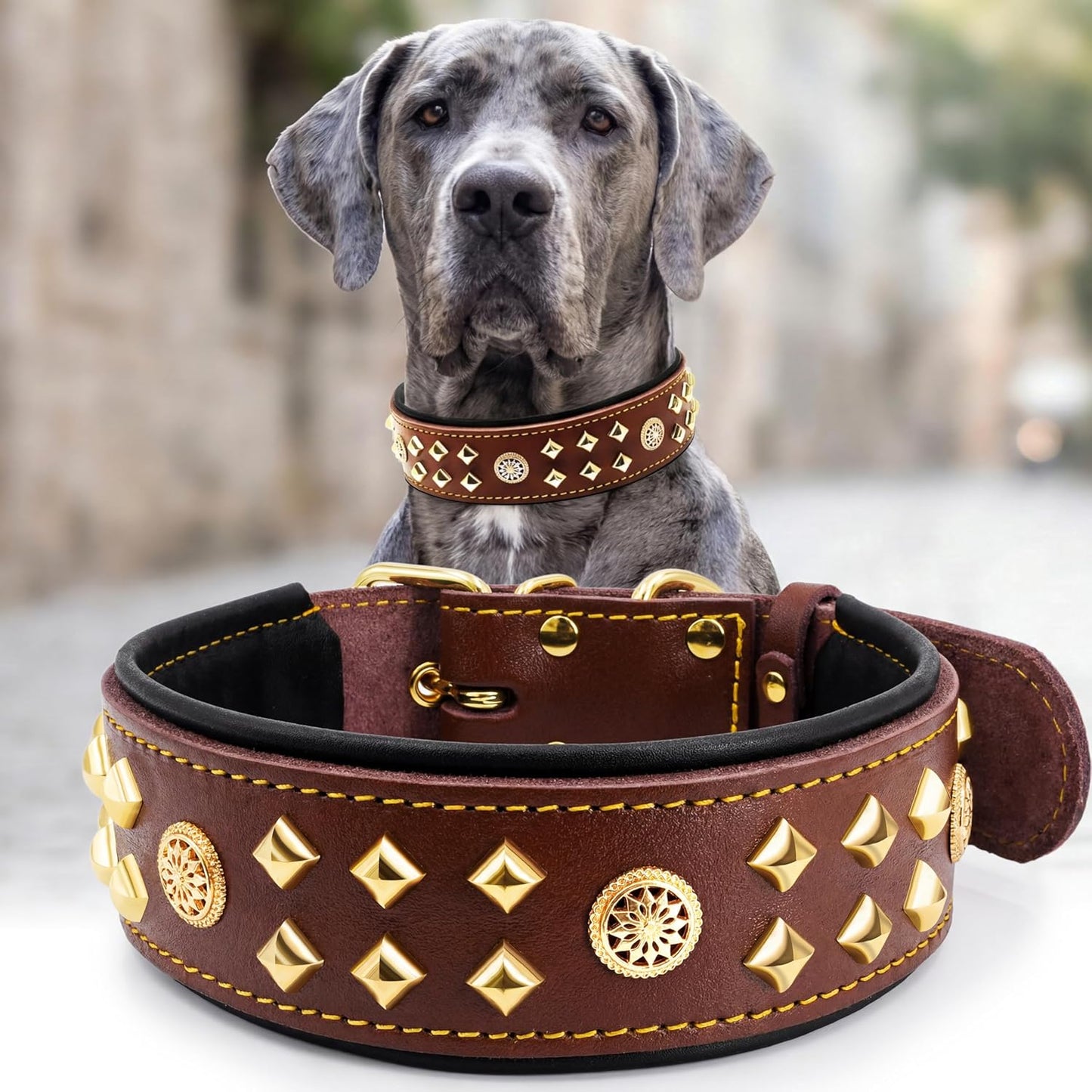 Eliteguard Genuine Leather Dog Collar, 2.2-Inch Handmade Studded with Stainless Steel Buckle, Daily Wear for Large Dogs, Brown 14-18.5 In