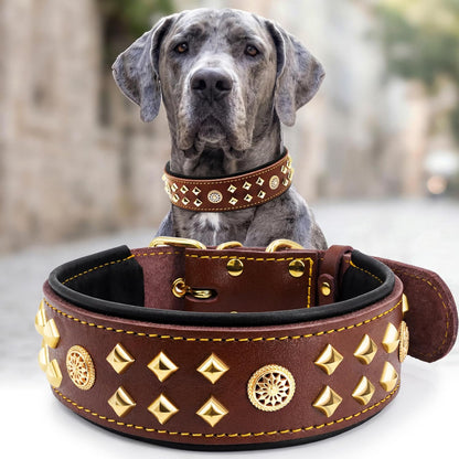 Eliteguard Genuine Leather Dog Collar, 2.2-Inch Handmade Studded with Stainless Steel Buckle, Daily Wear for Large Dogs, Brown 14-18.5 In