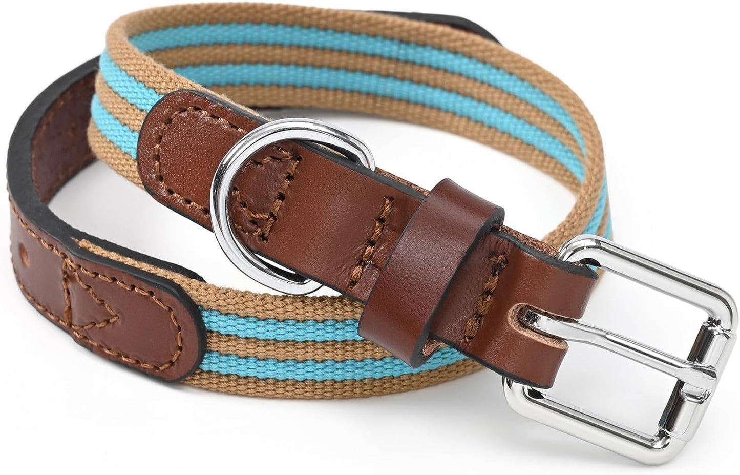| Genuine Leather Dog Collar | Heavy Duty Canvas Dog Collars with Adjustable Rust-Proof Metal Pin Buckle | Boy Dog Collars for Medium Dogs(Pin Buckle-Turquoise Green)