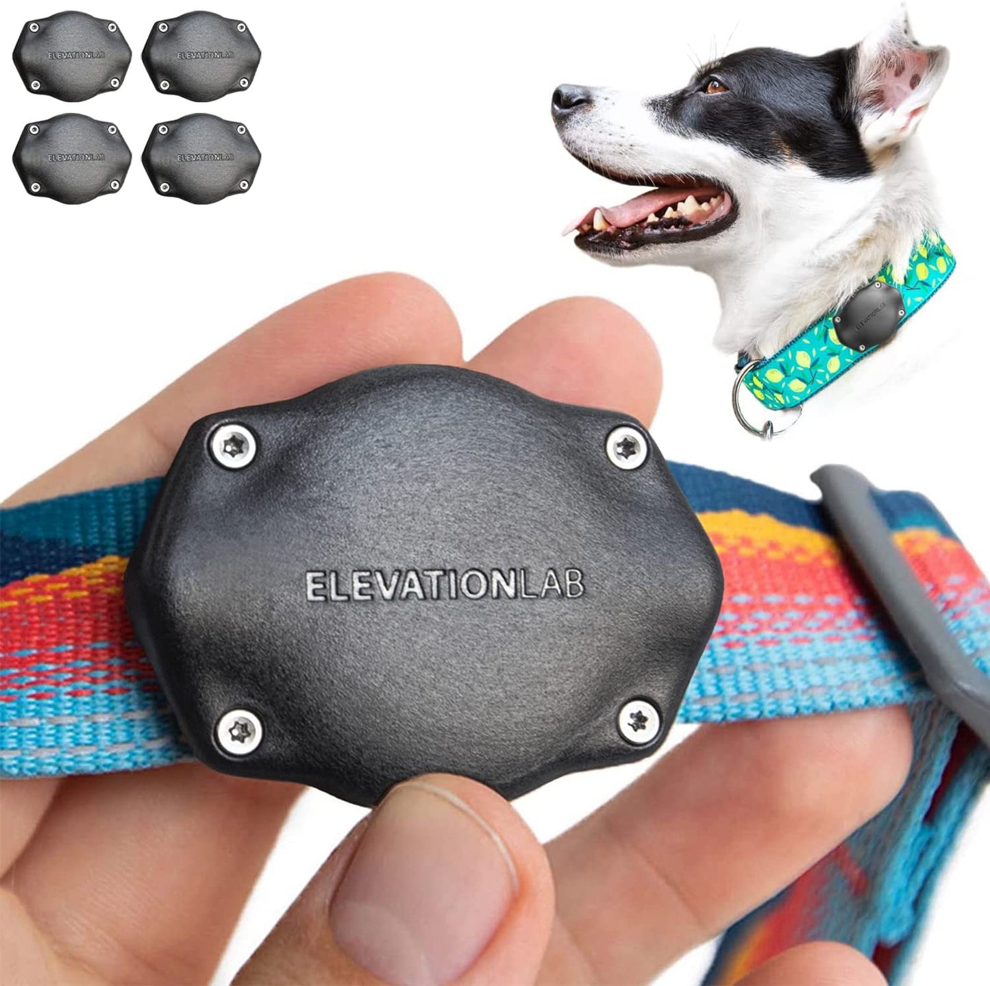 Airtag Dog Collar Holder - Tagvault™ - Secure Thru-Mount, IP69 Waterproof, Doesn'T Dangle, Fits All Width Collars