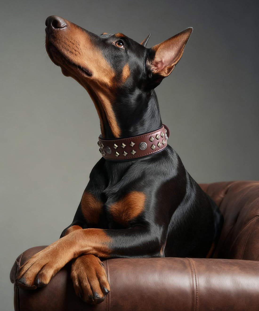 Eliteguard Genuine Leather Dog Collar, 2.2-Inch Handmade Studded with Stainless Steel Buckle, Daily Wear for Large Dogs, Brown 14-18.5 In