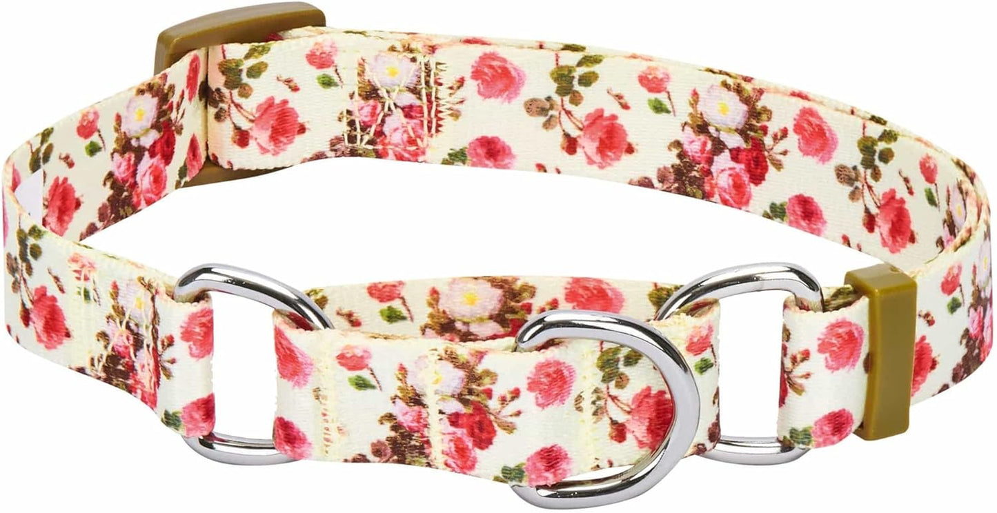 Spring Scent Inspired Rose Print Martingale Safety Training Dog Collar, Turquoise, Small, Heavy Duty Adjustable Collars for Dogs