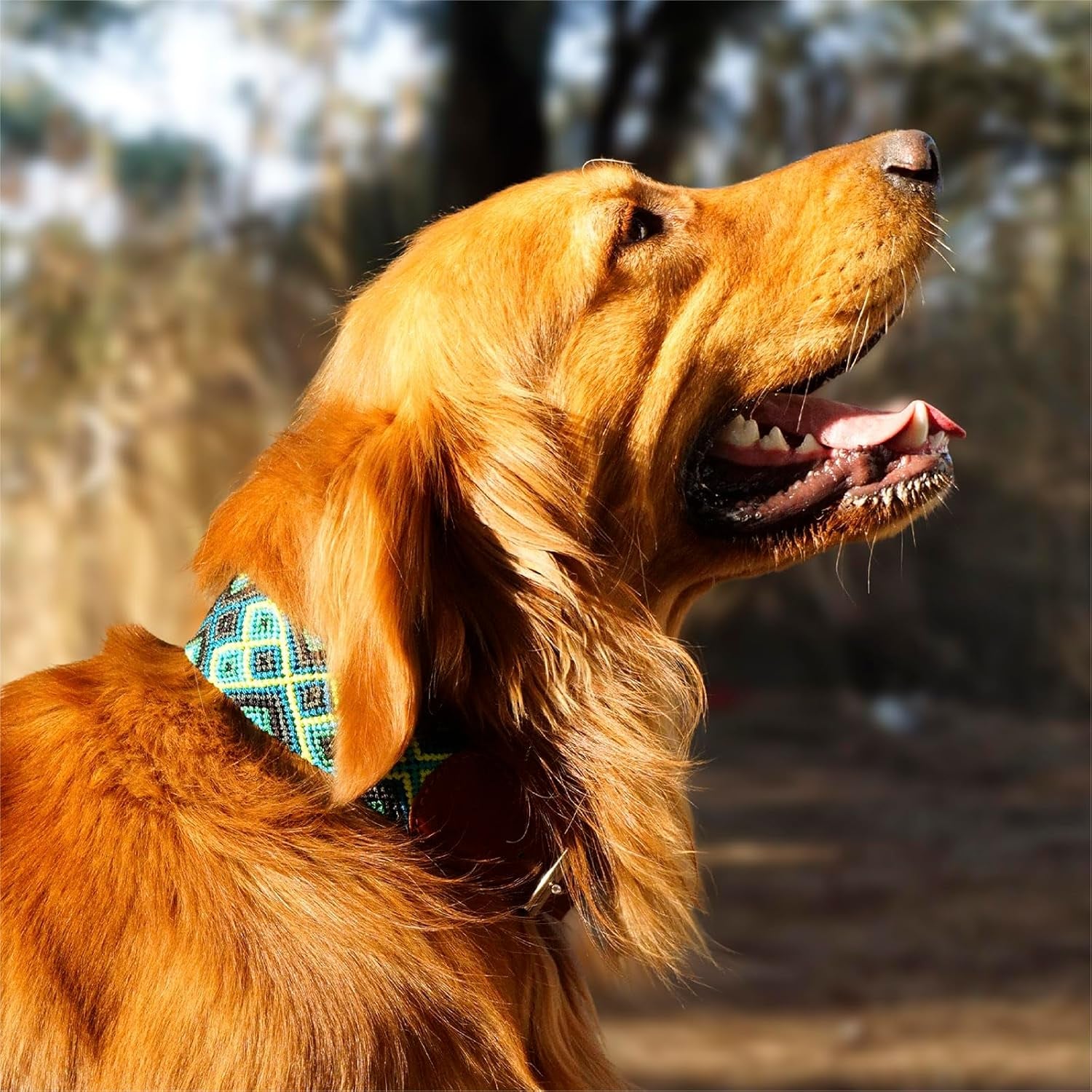 Premium Leather Dog Collar - Adjustable Handcrafted Collar for Small to Large Dogs (Blue/Green, L)