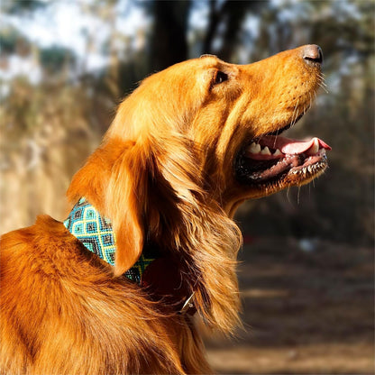 Premium Leather Dog Collar - Adjustable Handcrafted Collar for Small to Large Dogs (Blue/Green, L)
