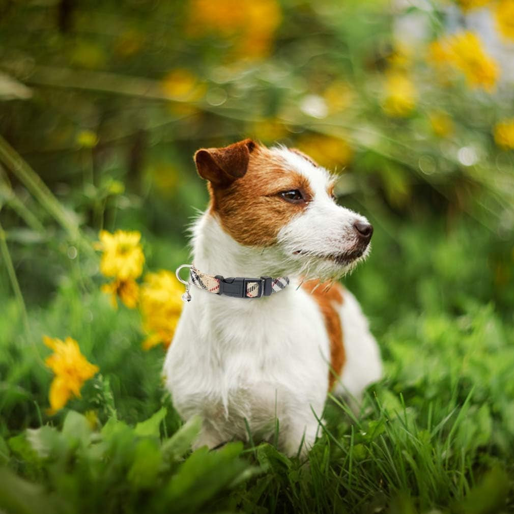 Adjustable Pet Harness Collar &Leash Set Step in for Small Dogs Puppy &Cats Outdoor Training &Running, Soft Mesh Padded Reflective Vest Harness,M: Chest Girth: 16-18In Collar: 11.8-15.7In