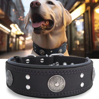 Leather Dog Collar, 2 Inches Wide Heavy Duty Genuine Leather Collars, Handmade, Soft, and Luxury, Eye-Catching Best Choice for Large and Medium Breed Dogs, Orange 18.5-22.5 In