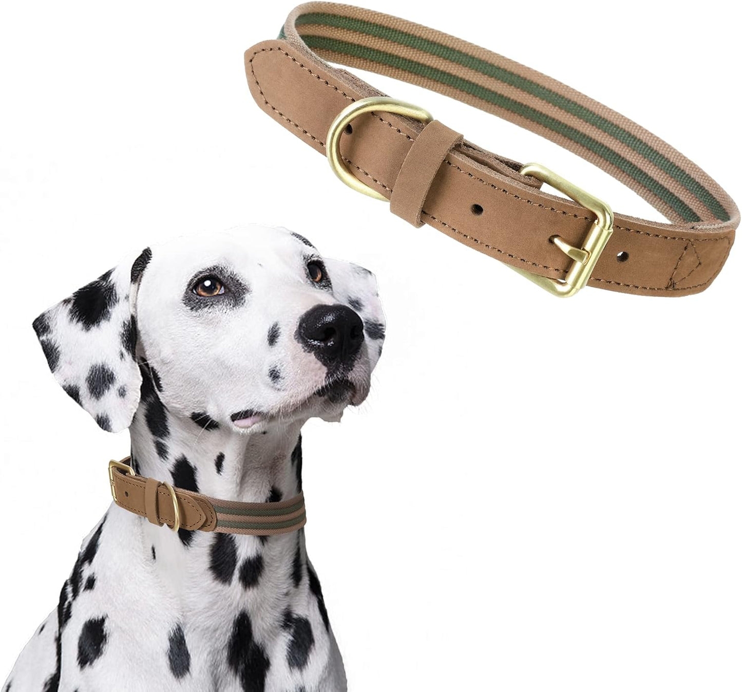 | Genuine Leather Dog Collar | Heavy Duty Canvas Dog Collars with Adjustable Rust-Proof Metal Pin Buckle | Boy Dog Collars for Medium Dogs(Pin Buckle-Turquoise Green)