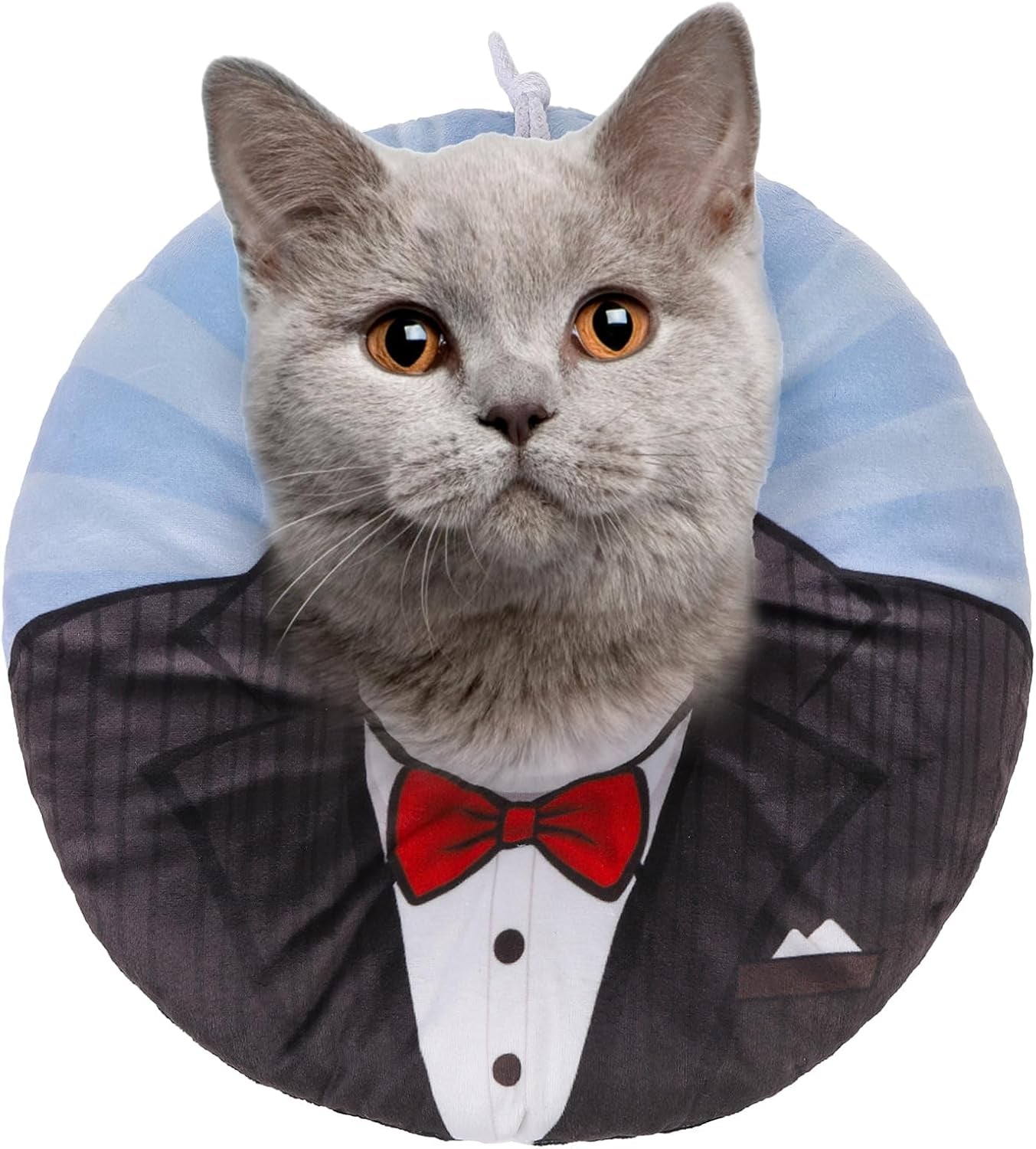 Cat Cone Collars Soft, Cat Recovery E Collars after Surgery to Stop Licking, Adjustable Elizabeth Circle Collar Cute Pet Donut Pillow for Cats Kitten Small Dogs, Cute Shark S