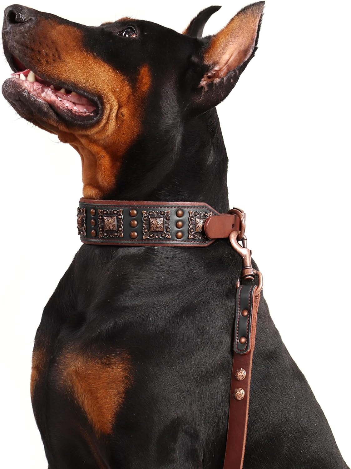 Leather Dog Leash 5Ft X 3/4 Inch, Luxurious Genuine Leather Dog Training Leashes with Soft Padded Handle & Bronze Rivets, Stylish & Durable Pet Lead for Medium Large Dogs Walking,Black