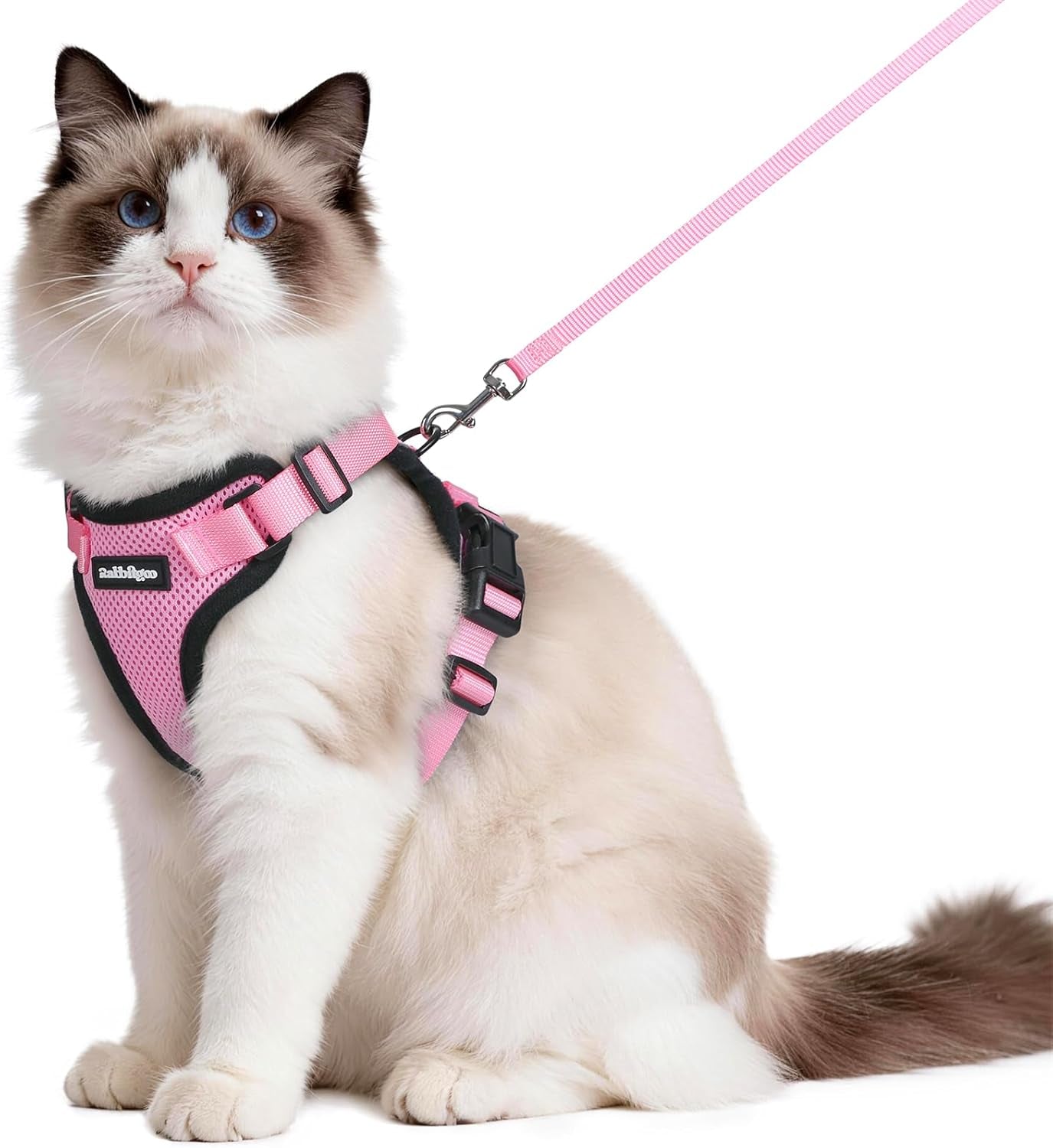 Cat Harness and Leash for Walking, Escape Proof Soft Adjustable Vest Harnesses for Cats, Easy Control Breathable Reflective Strips Jacket, Black, XS