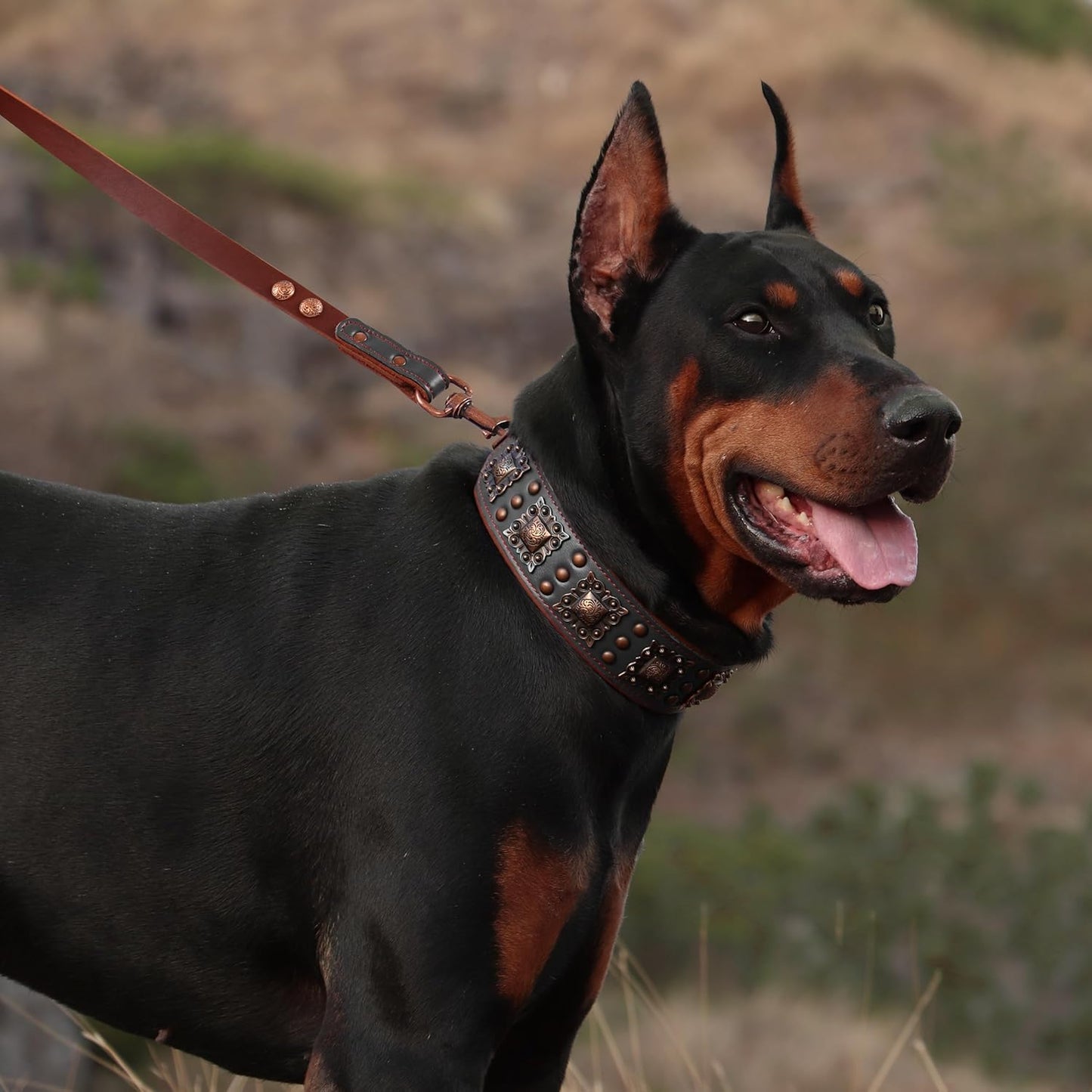 Leather Dog Leash 5Ft X 3/4 Inch, Luxurious Genuine Leather Dog Training Leashes with Soft Padded Handle & Bronze Rivets, Stylish & Durable Pet Lead for Medium Large Dogs Walking,Black