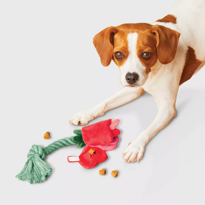Rose Snuffle Plush Rope Dog Toy - Boots & Barkley™