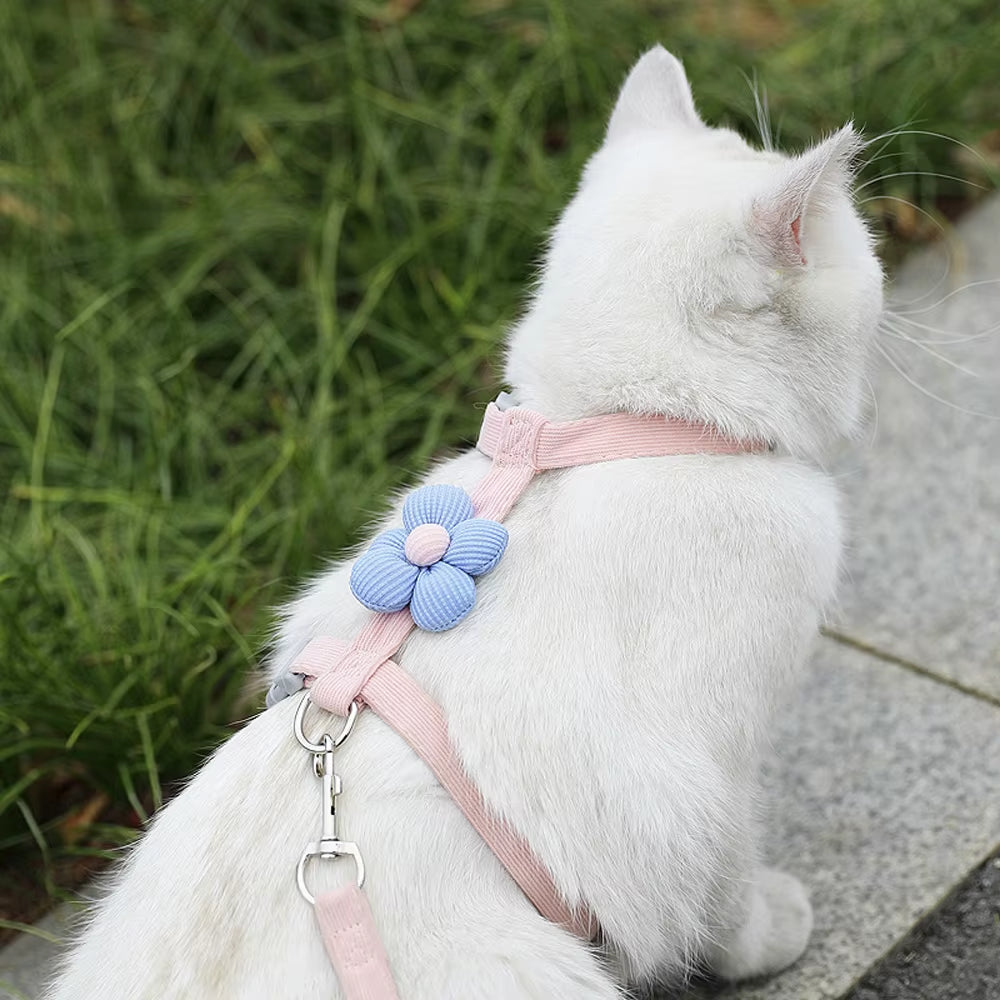 Adjustable Dog Harness for Small Dog Leash Breashable Small Cat Harness and Leash Sets Pet Harness Out Walking Dog Accessories