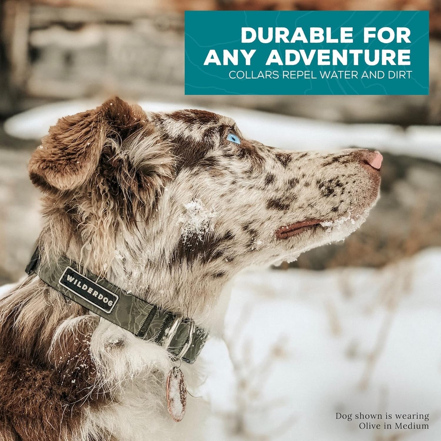 Waterproof Dog Collar - Repels Water & Dirt - Medium 13"-18" - Olive