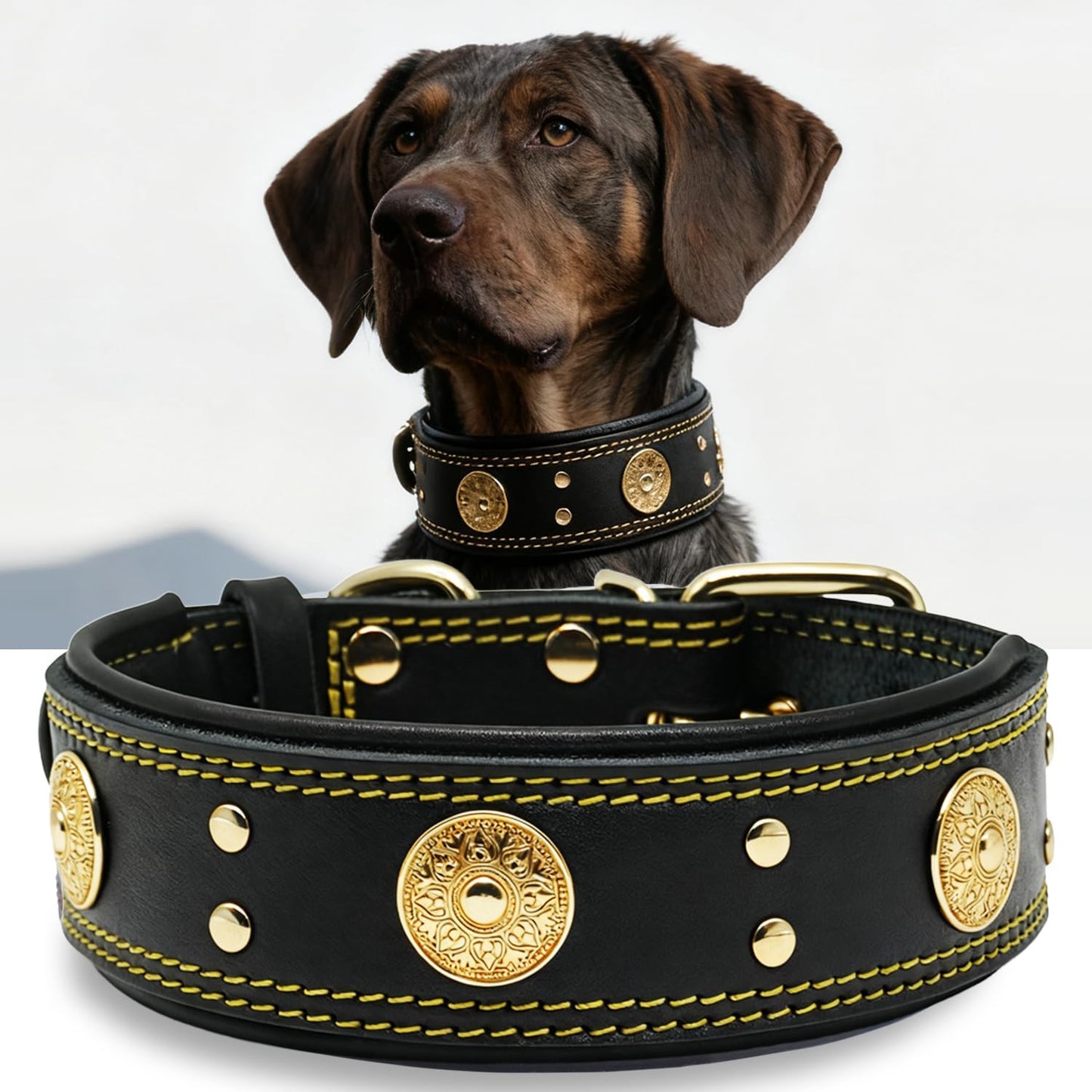 Leather Dog Collar, 2 Inches Wide Heavy Duty Genuine Leather Collars, Handmade, Soft, and Luxury, Eye-Catching Best Choice for Large and Medium Breed Dogs, Orange 18.5-22.5 In