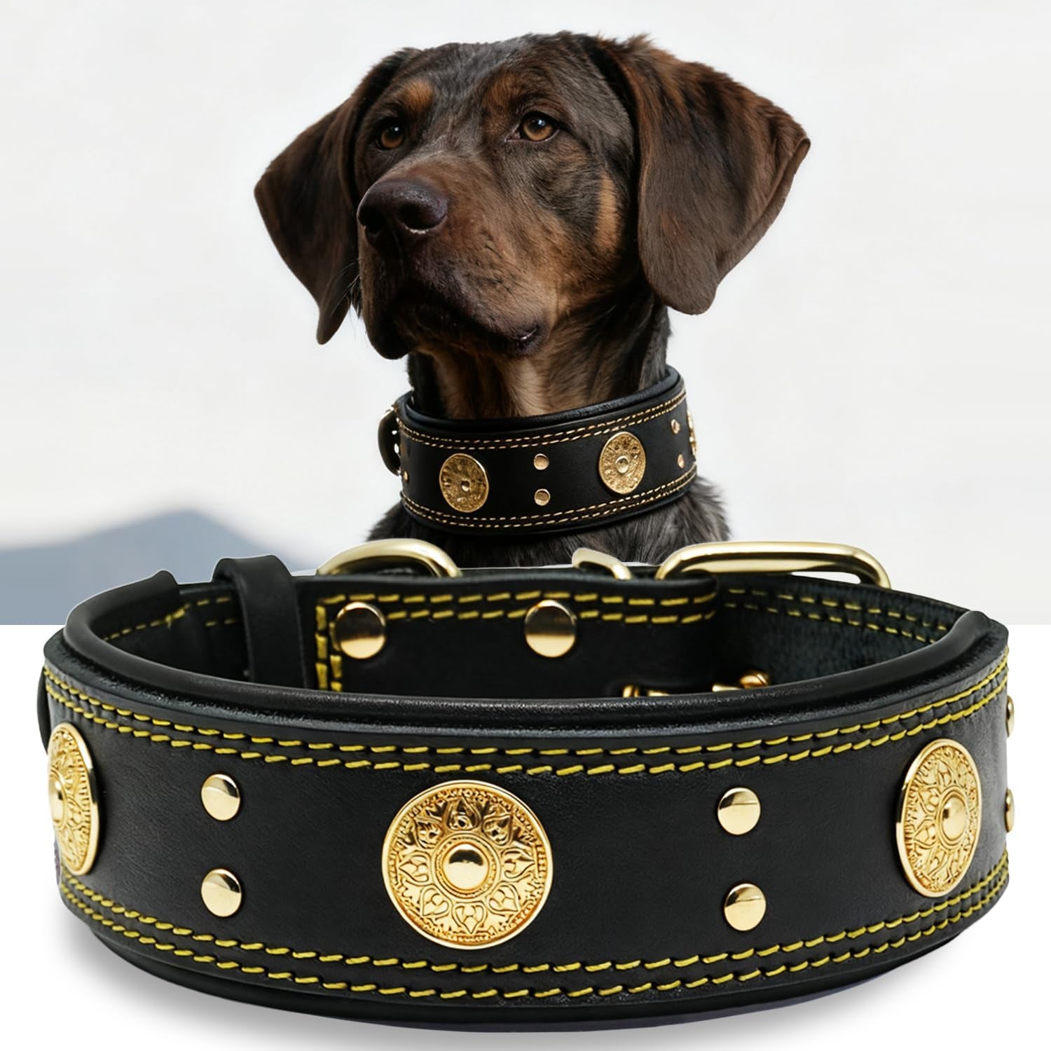 Leather Dog Collar, 2 Inches Wide Heavy Duty Genuine Leather Collars, Handmade, Soft, and Luxury, Eye-Catching Best Choice for Large and Medium Breed Dogs, Orange 18.5-22.5 In