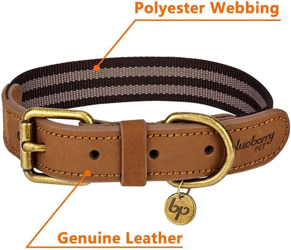Soft & Comfy Leather Dog Collar - Adjustable Dog Collars for Small Dogs, Genuine Leather Collar for Dogs, Classic Striped Leather Dog Collars, Small, Neck 12"-15"