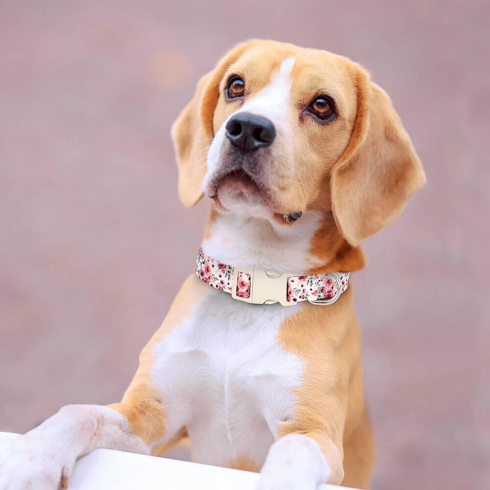 Floral Nylon Dog Collars with Quick Fit Buckle Adjustable for Girl Small Medium Large Dogs