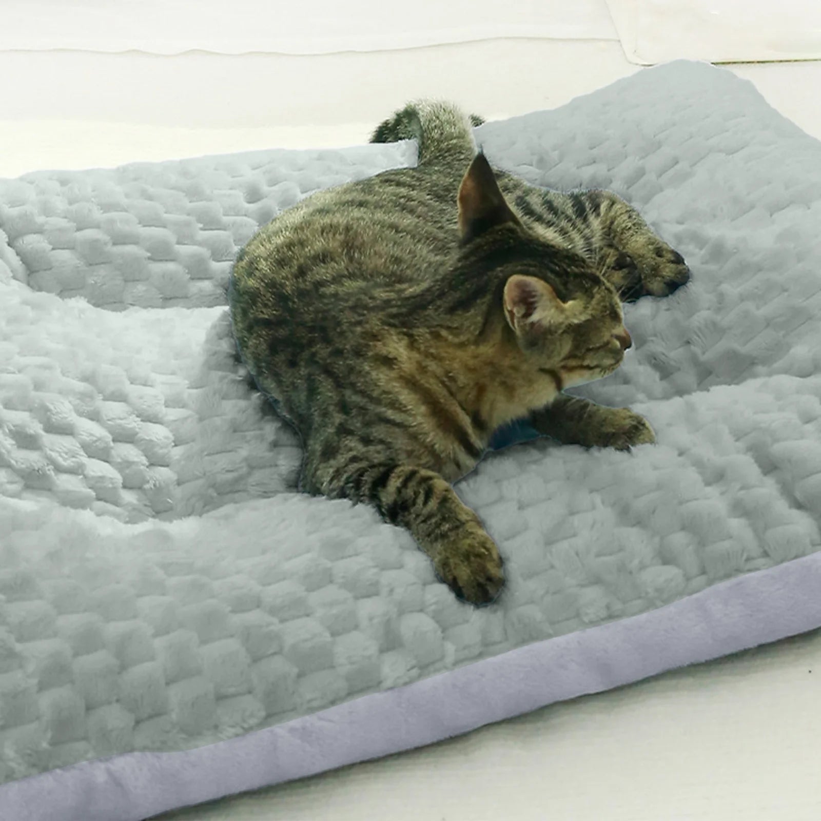 Orthopedic Pet Bed for Dogs and Cats with Thick Padding and Removable Cover,All-Season Comfort Sleeping Mat for Small Medium Pets,Non-Slip Bottom and Breathable Fabric for Home Use