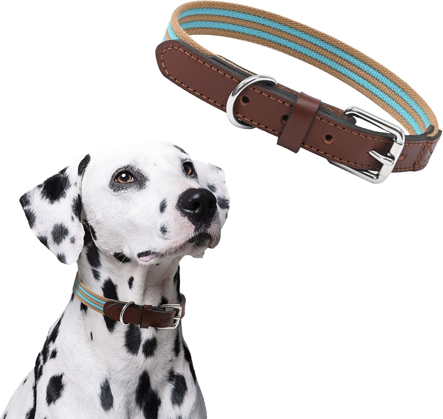 | Genuine Leather Dog Collar | Heavy Duty Canvas Dog Collars with Adjustable Rust-Proof Metal Pin Buckle | Boy Dog Collars for Medium Dogs(Pin Buckle-Turquoise Green)