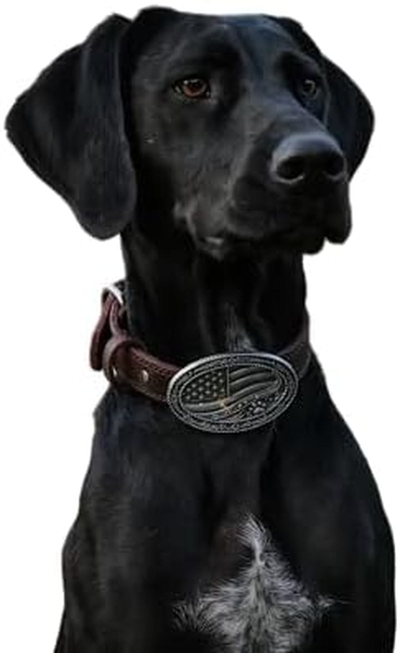 Western Cowboy Leather Dog Collar for Medium/Large Dogs, 14-18 Inch Neck, Premium Grain Leather, Heavy Duty Stainless Steel Hardware, Zinc Alloy Buckle