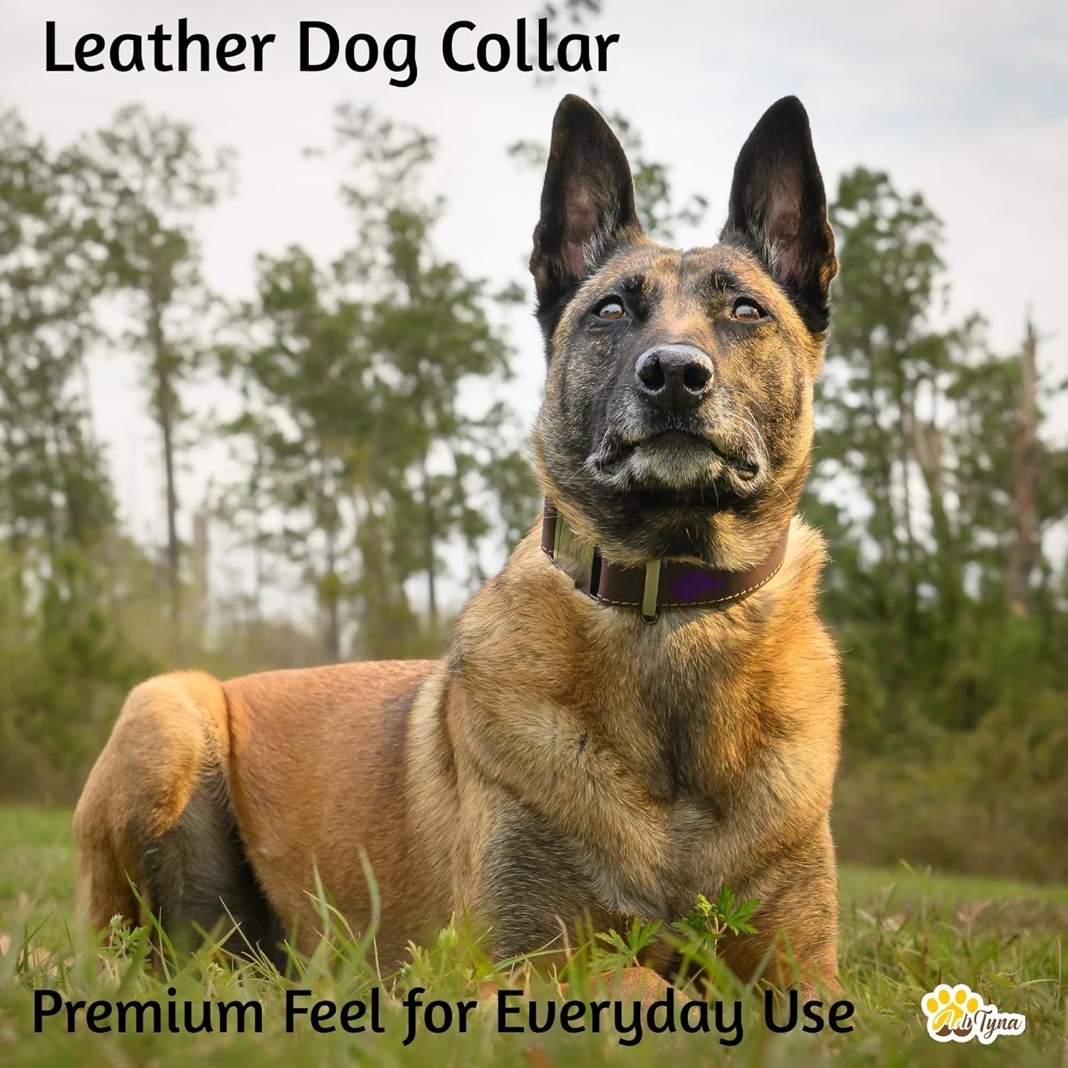 Leather Dog Collar with Metal Buckle - Heavy-Duty, Adjustable for Medium & Large Dogs - Walking, Training, Hiking (Brown, Fits 15-21" Necks)