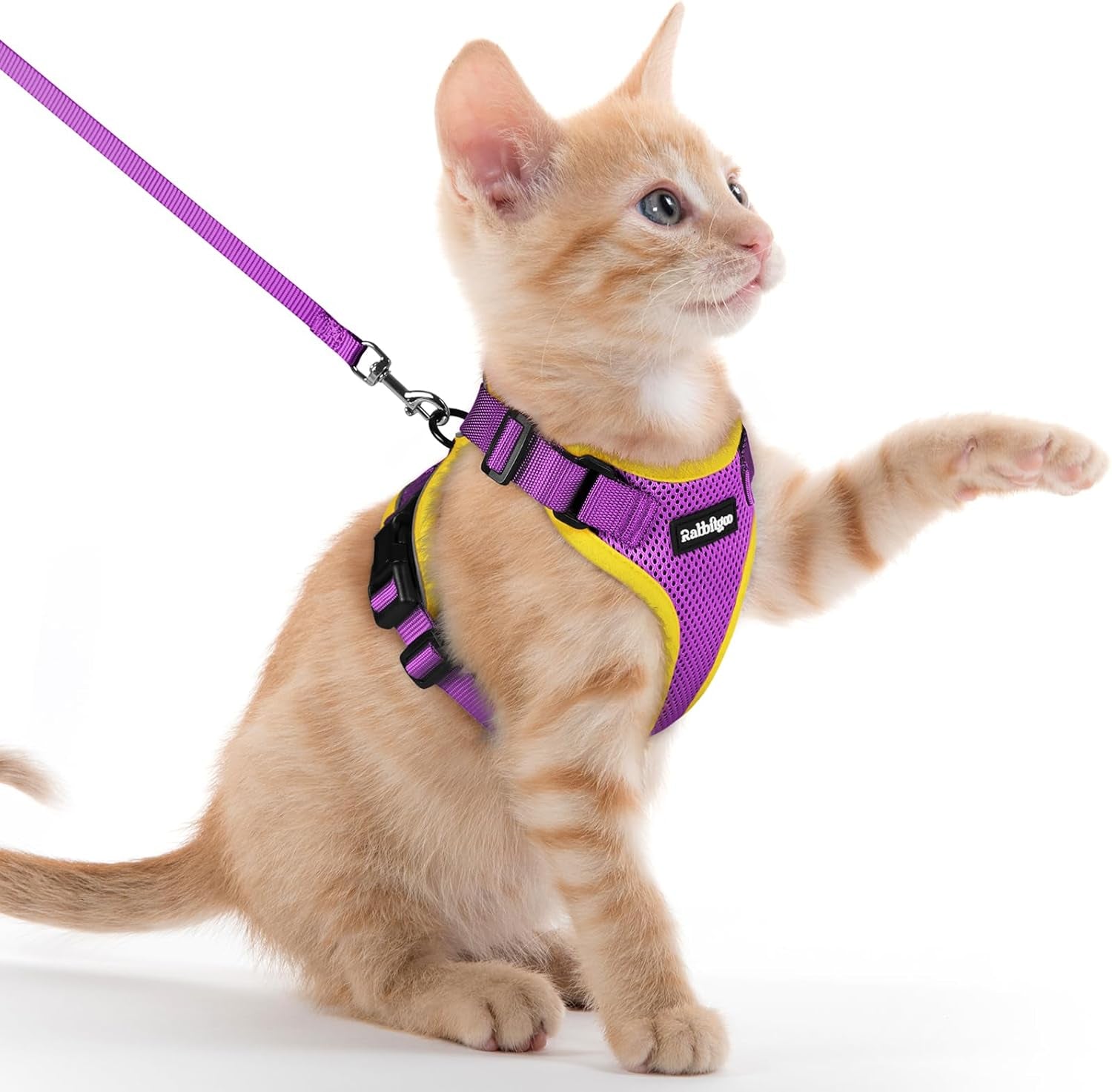 Cat Harness and Leash for Walking, Escape Proof Soft Adjustable Vest Harnesses for Cats, Easy Control Breathable Reflective Strips Jacket, Black, XS