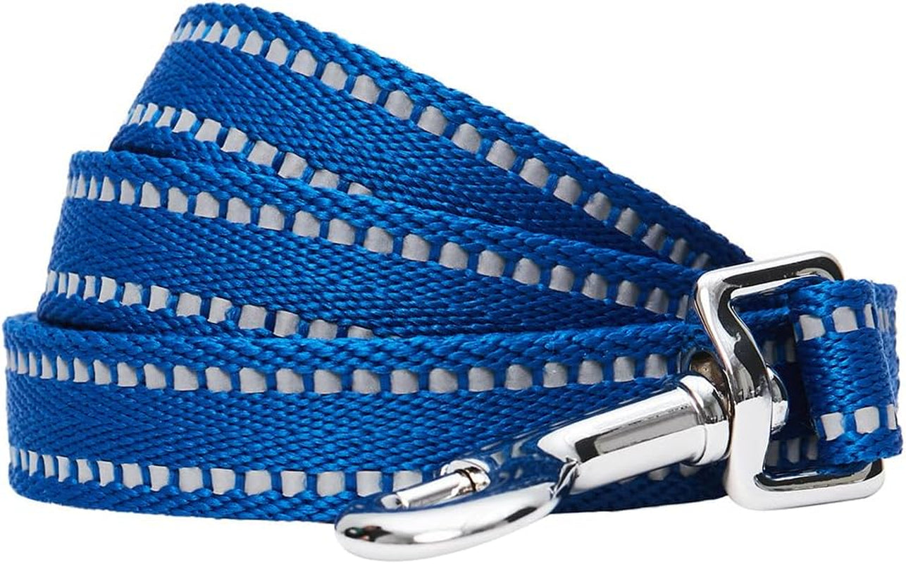 Essentials Durable Pastel Color Reflective Dog Leash, 5 Ft X 3/4", Baby Blue, Medium, Leashes for Dogs