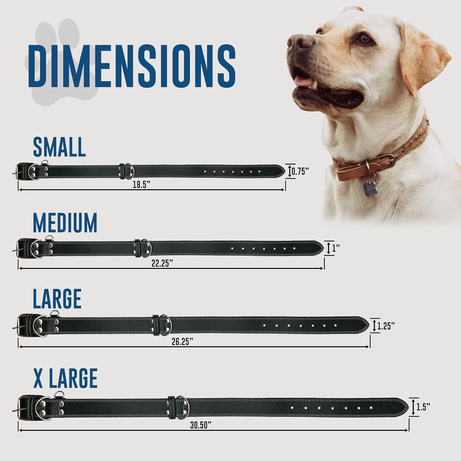 Leather Dog Collar with Reinforced Hardware, Heavy Duty Dog Collars for All Breeds, Made of Top Grain Genuine Leather That Is Soft & Durable (Black, MD)