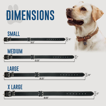 Leather Dog Collar with Reinforced Hardware, Heavy Duty Dog Collars for All Breeds, Made of Top Grain Genuine Leather That Is Soft & Durable (Black, MD)