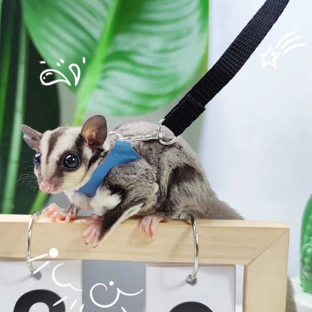 4 Pcs /Set Sugar Quoll Harness + Leash Set Escape-Proof Adjustable Collar for Pet Small Animals Hamsters Sugar Gliders Squirrels