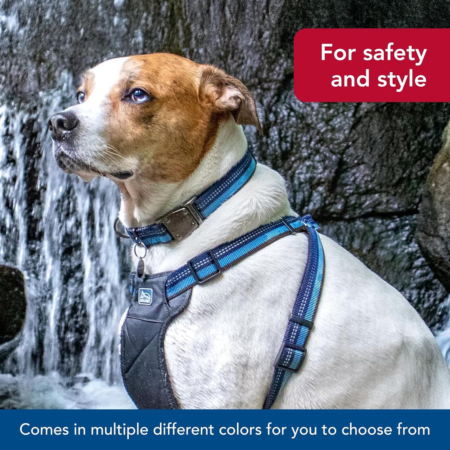 Pet K9 Explorer Reflective Adjustable Dog Collar - Comfortable Collar for the Outdoors - Durable, Lightweight Accessory with Side-Release Buckle - Berry, 5/8" X 8-12"