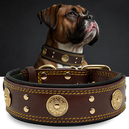 Leather Dog Collar, 2 Inches Wide Heavy Duty Genuine Leather Collars, Handmade, Soft, and Luxury, Eye-Catching Best Choice for Large and Medium Breed Dogs, Orange 18.5-22.5 In