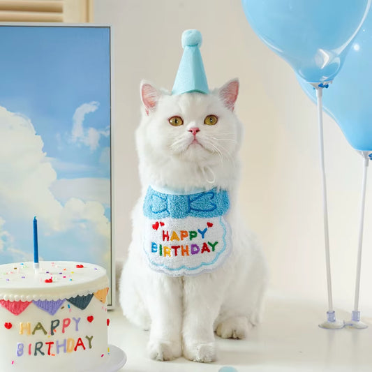 2Pcs Cat Dog Birthday Bandana Scarf and Party Hat Pet Birthday Bib and Hat Cat Birthday Outfit Pet Birthday Decorations Set