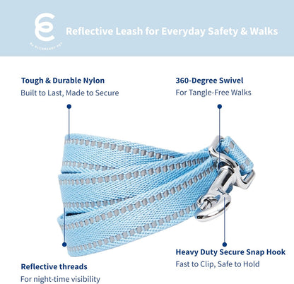 Essentials Durable Pastel Color Reflective Dog Leash, 5 Ft X 3/4", Baby Blue, Medium, Leashes for Dogs