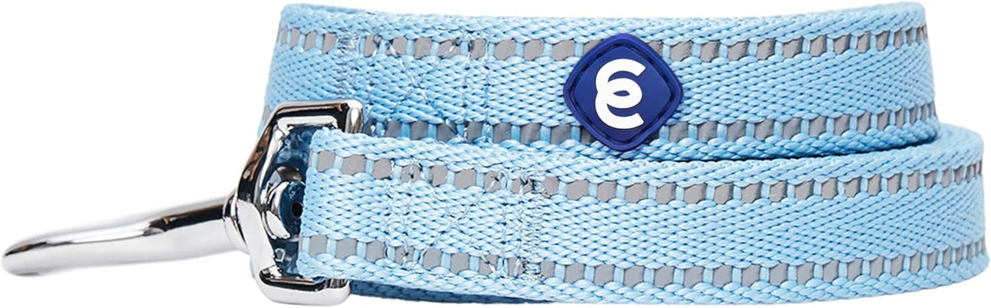 Essentials Durable Pastel Color Reflective Dog Leash, 5 Ft X 3/4", Baby Blue, Medium, Leashes for Dogs