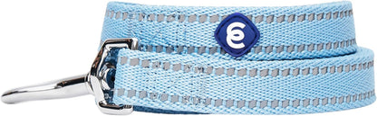 Essentials Durable Pastel Color Reflective Dog Leash, 5 Ft X 3/4", Baby Blue, Medium, Leashes for Dogs