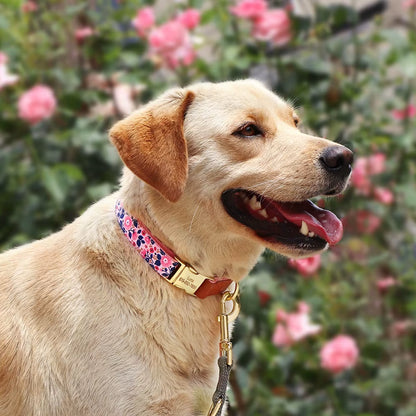 Custom Engraved Dog Collar Adjustable Pet Buckle Collars Anti-Lost Flower Printed for Small Medium Large Dogs French Bulldog