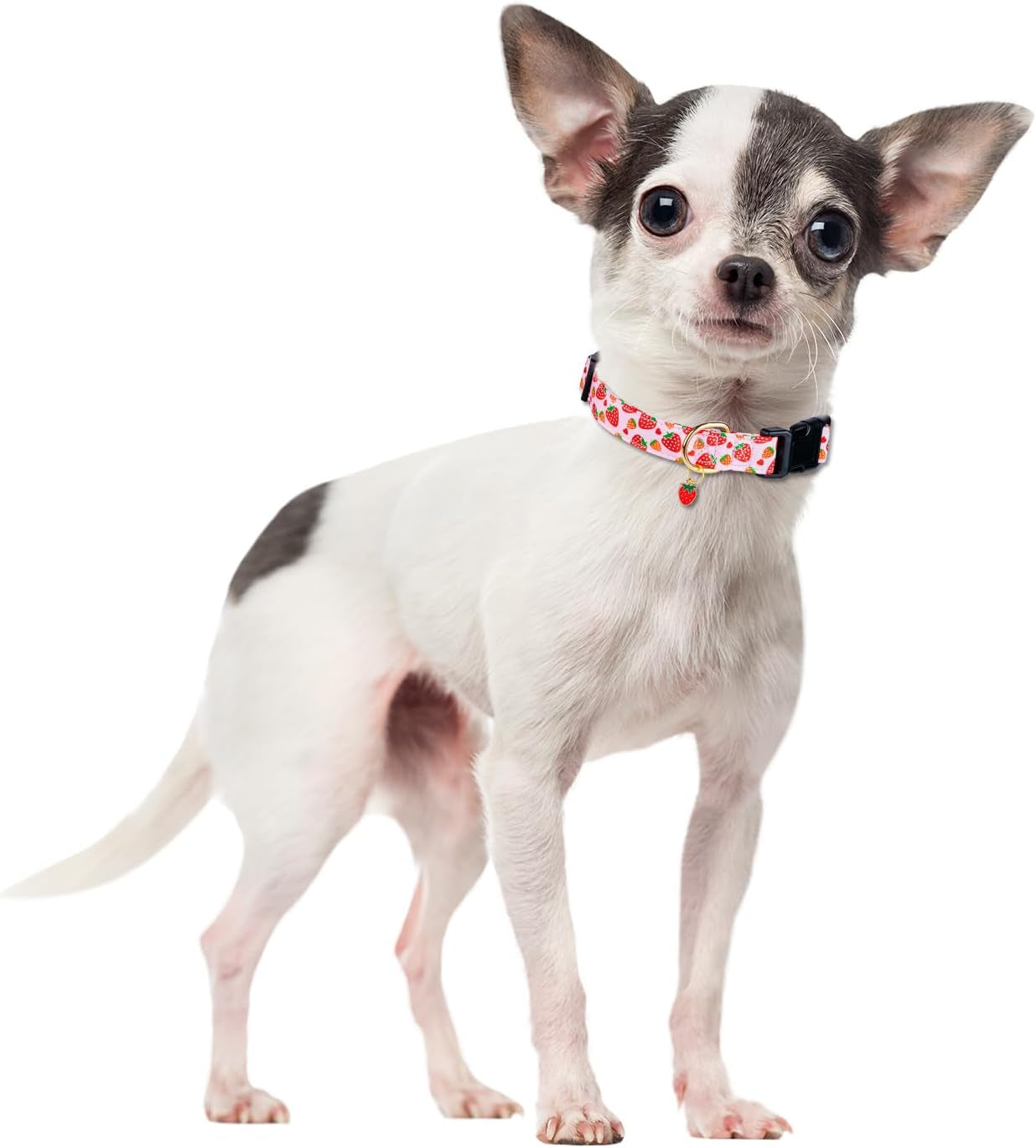 Cute Cotton Dog Collar for Small Medium Large Dogs Special Design Cute Pink Strawberry with Pendant for Girl Female Dogs Soft Adjustable Strawberry Puppy Collars for Girl Female Dogs Pet Collar