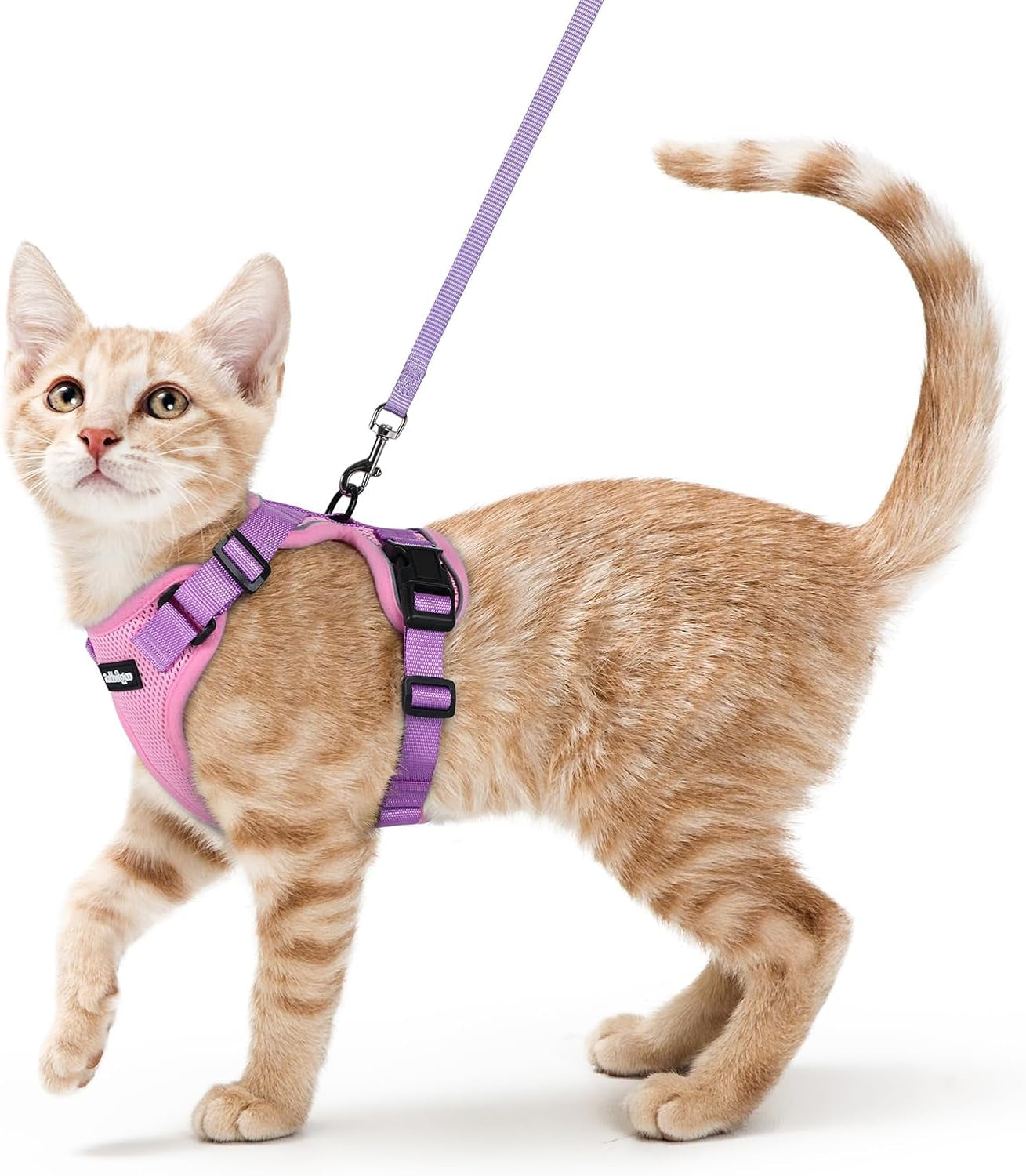 Cat Harness and Leash for Walking, Escape Proof Soft Adjustable Vest Harnesses for Cats, Easy Control Breathable Reflective Strips Jacket, Black, XS