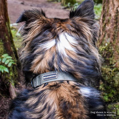 Waterproof Dog Collar - Repels Water & Dirt - Medium 13"-18" - Olive