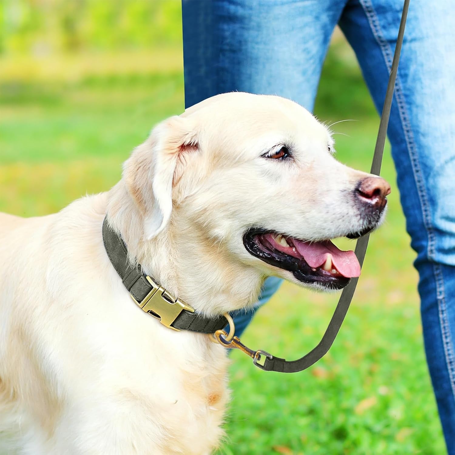 Genuine Leather Dog Collar - Adjustable Pet Collar with Quick Release Metal Buckle, Soft Skin Friendly Real Leather Collar for Small, Medium, Large Dogs (Dark Green Collar + Rope, M：Fit 12-20" Neck)