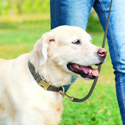 Genuine Leather Dog Collar - Adjustable Pet Collar with Quick Release Metal Buckle, Soft Skin Friendly Real Leather Collar for Small, Medium, Large Dogs (Dark Green Collar + Rope, M：Fit 12-20" Neck)