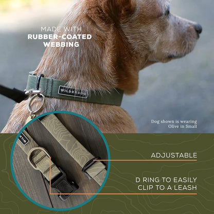 Waterproof Dog Collar - Repels Water & Dirt - Medium 13"-18" - Olive
