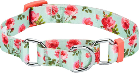 Spring Scent Inspired Rose Print Martingale Safety Training Dog Collar, Turquoise, Small, Heavy Duty Adjustable Collars for Dogs