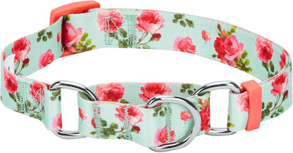 Spring Scent Inspired Rose Print Martingale Safety Training Dog Collar, Turquoise, Small, Heavy Duty Adjustable Collars for Dogs