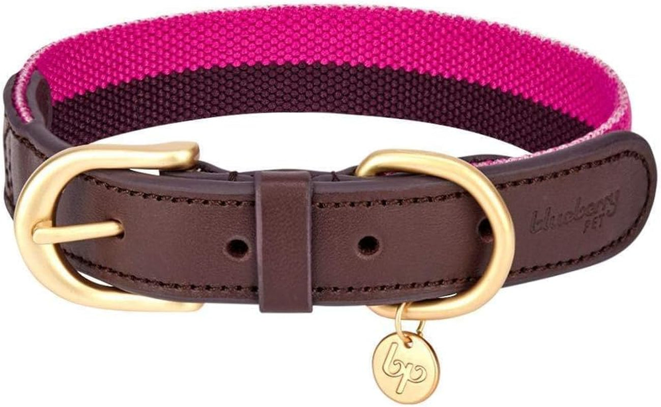 Soft & Comfy Leather Dog Collar - Adjustable Dog Collars for Small Dogs, Genuine Leather Collar for Dogs, Classic Striped Leather Dog Collars, Small, Neck 12"-15"