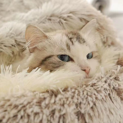 Winter Plush Pet Cat Bed round Cat Cushion Cat House Warm Cats Basket Pet Sleep Bag Kitten Nest Kennel for Pet Dog Cats