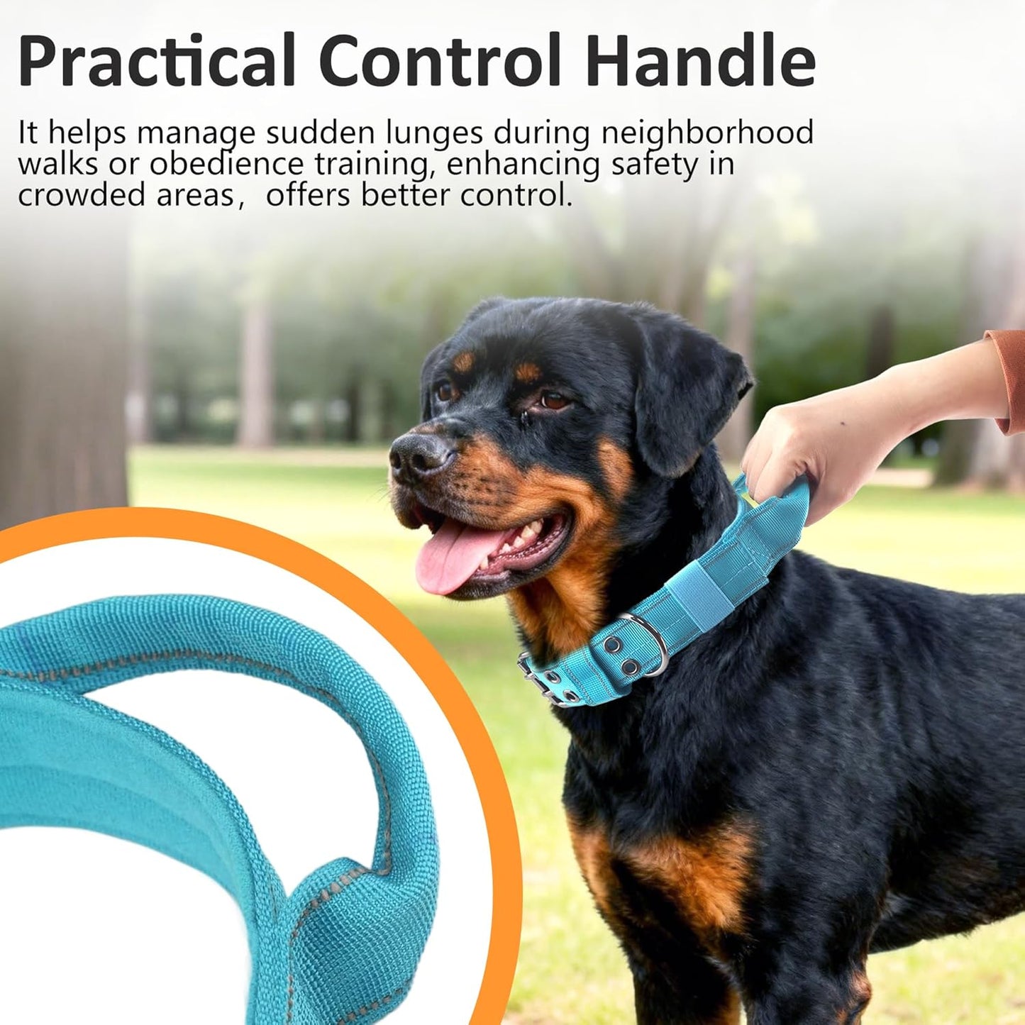 Tactical Dog Collar with Control Handle, Military Adjustable Pet Collar Reflective Heavy Metal Buckle Dog Collar, Soft Nylon Training Collar for Medium Large Dogs (Blue, Large)