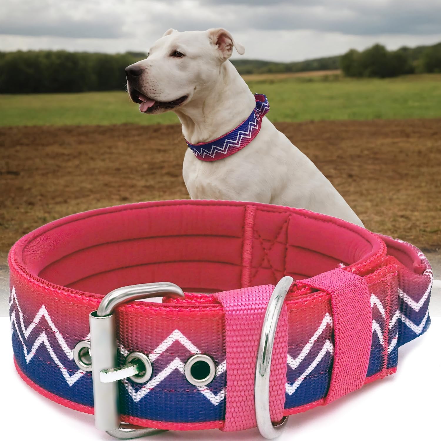 Neckshield Control Dog Collar for Large Dogs-2 Inches Wide with Pressure-Relief Padding, Professional Protection for Large & Giant Breeds, Jungle Night L